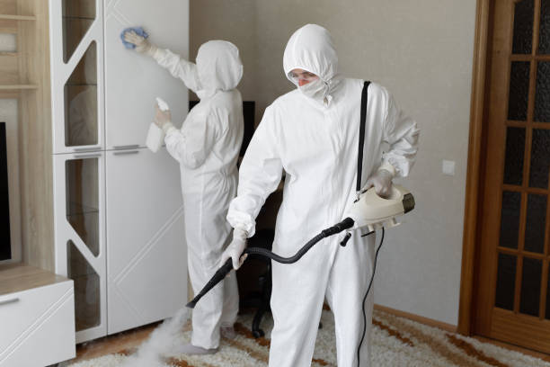 Best DIY Mold Remediation Support Services in Ronceverte, WV