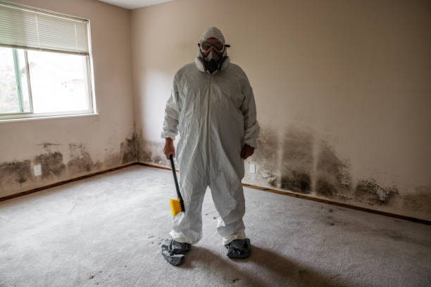 Best Residential Mold Remediation in Ronceverte, WV